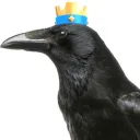 crowmaticbs_youtube