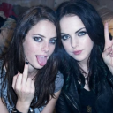 avatar lily kat 🐈‍⬛