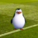 avatar Ꮥ §ĥąĥřåđˢʰ