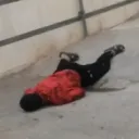 hajdizbang