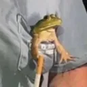 m1cr0fr0g