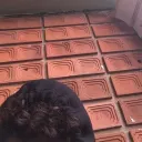 zxaicas_2552