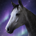 avatar ❥𝐋𝐚𝐫𝐲