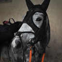 avatar ❥𝐋𝐚𝐫𝐲