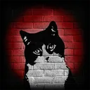 catlordcam