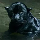 doomyrainy