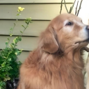 avatar !    Pᴇᴀᴄʜʏ💋