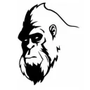 yeti_new_main