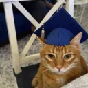 Аватар moon_lun4ik