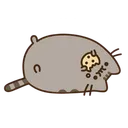 5559275555.