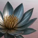 lotus7979