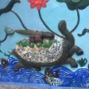 turtleamigo9361