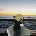 bloopbeary