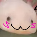 bigolbum1514910