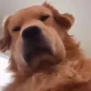 johjoh7232