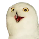 tokai_teio