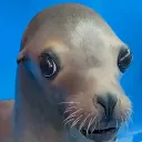 capfox12