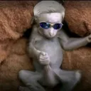 nxbob._