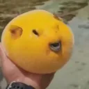 extremefireballz