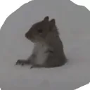 ratman1541