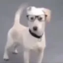 k1ttypi3