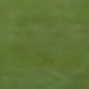 123456f.