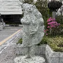 nontan8793