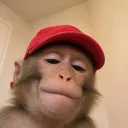 hhceo