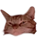 desenv