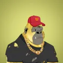 remypopia