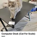 catforscale