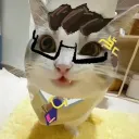 caspa1n avatar
