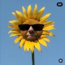 salad_salados