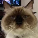 nick404__