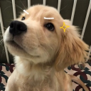 avatar รำคาญโดม