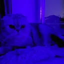 Аватар size69ez