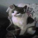 avatar unitopia. ✿