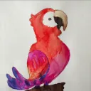 arstohc