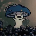 1kazooha