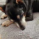 avatar Einfach_nur_Lena