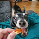 avatar Einfach_nur_Lena