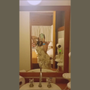 avatar Merryflower🪻