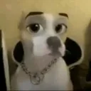 nouerbyjz