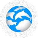 aidanatintanimalrescue