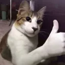 meel_ba