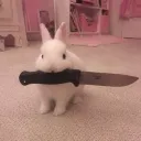 kittygomeows