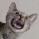 kyubihimevt