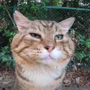 Аватар squzyy18