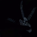 avatar 𝕶𝖆𝖗𝖗𝖎𝖘