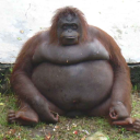 Kügul avatar